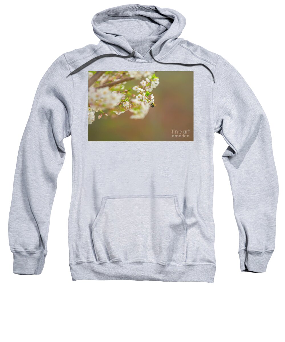 Bee Sweatshirt featuring the photograph Bee on a Cherry Blossom by Diane Diederich