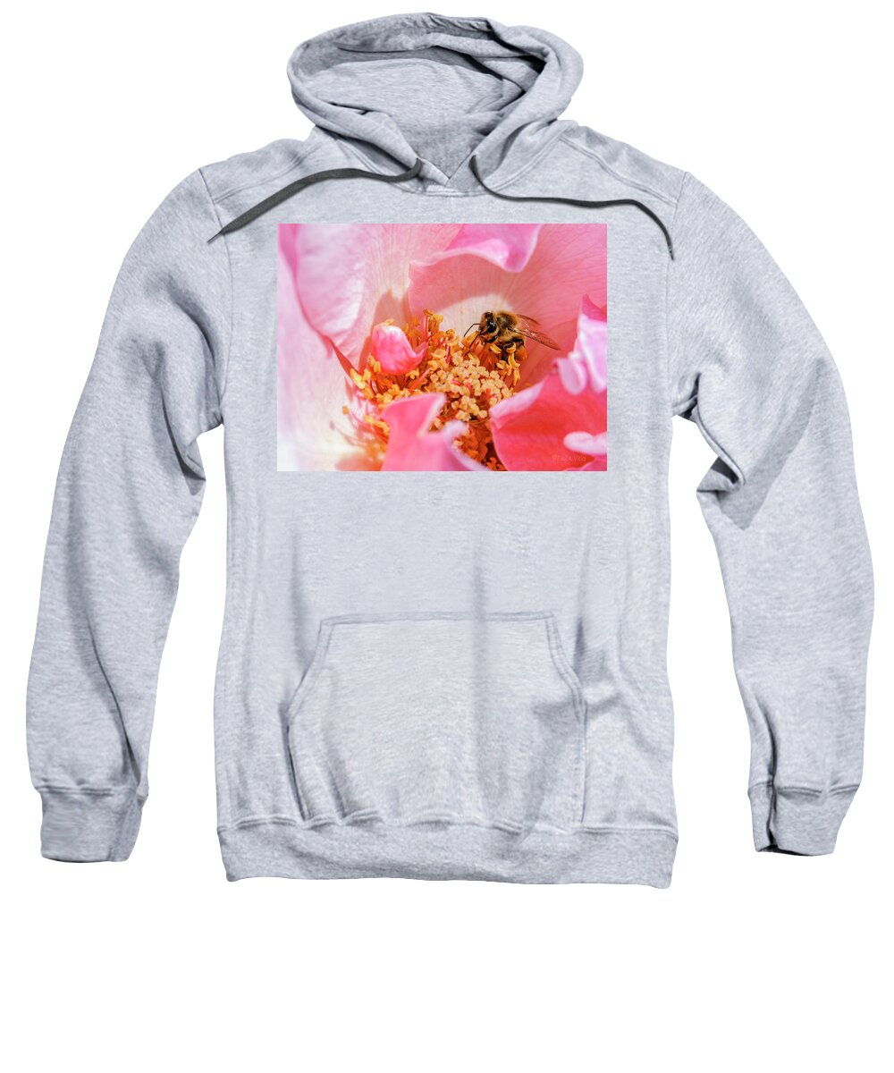 Red Flower Sweatshirt featuring the photograph Bee Red.... by Paul Vitko