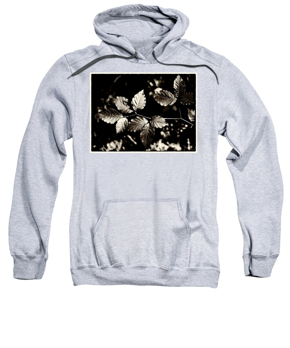 Leaves Sweatshirt featuring the photograph Beech Leaves by Mark Egerton