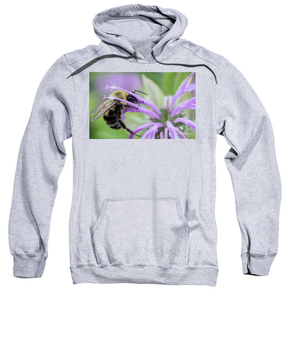Canada Sweatshirt featuring the photograph Bee's dinner by Agnes Caruso