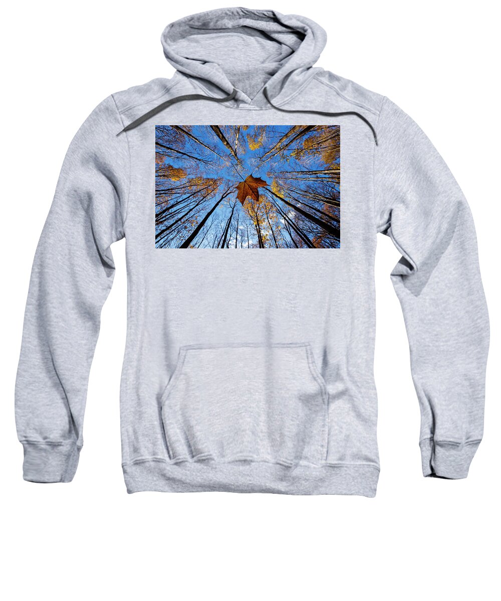 Autumn Sweatshirt featuring the photograph Before the First Snow by Mircea Costina Photography
