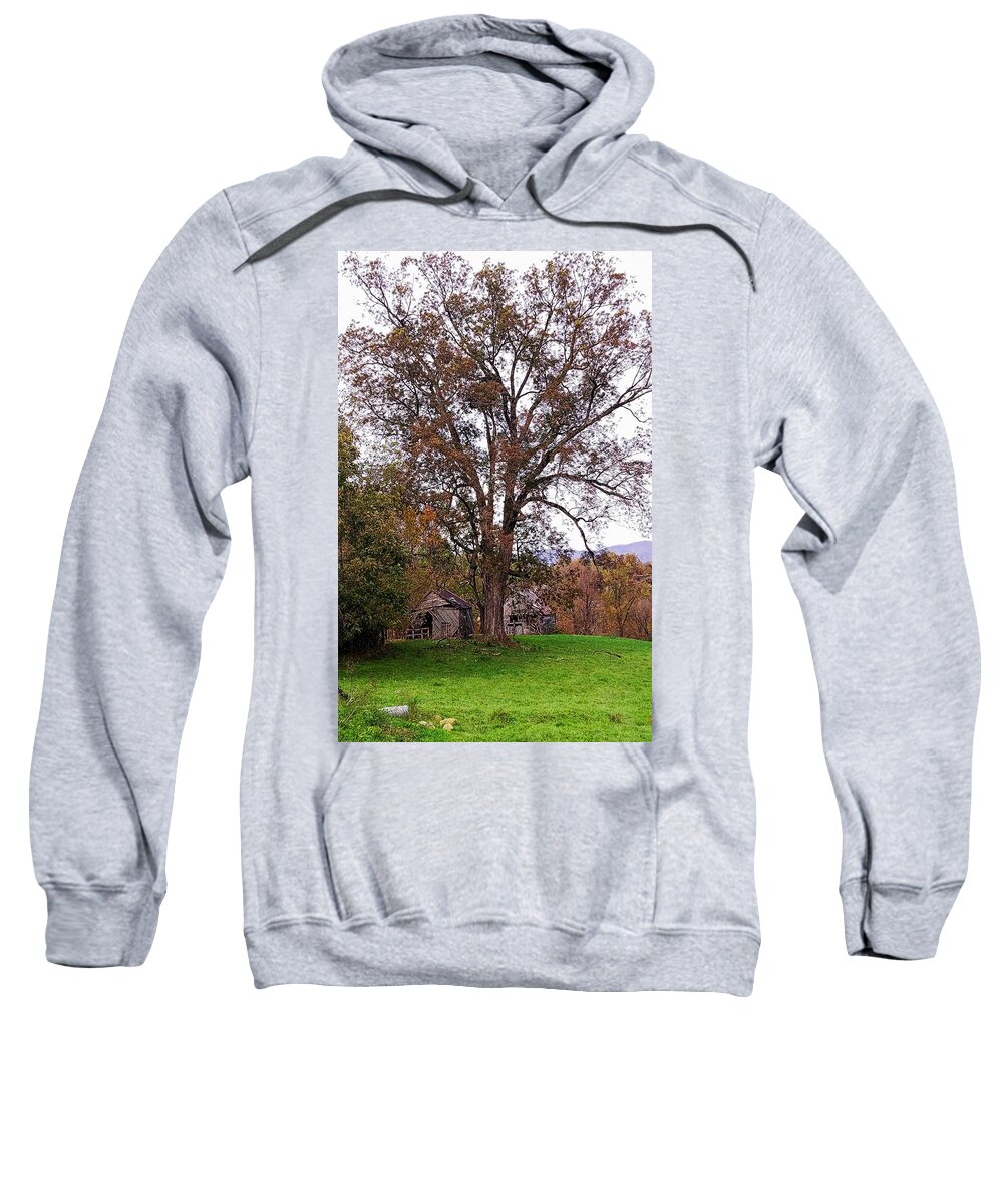 Barn Sweatshirt featuring the photograph Beneath the Oak Canopy by Joe Duket