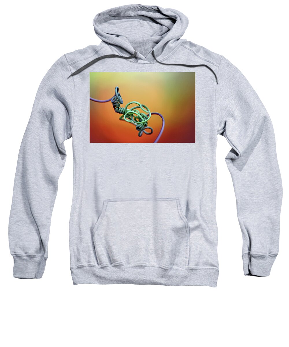 Abstract Sweatshirt featuring the photograph Bewildering by Debbie Oppermann