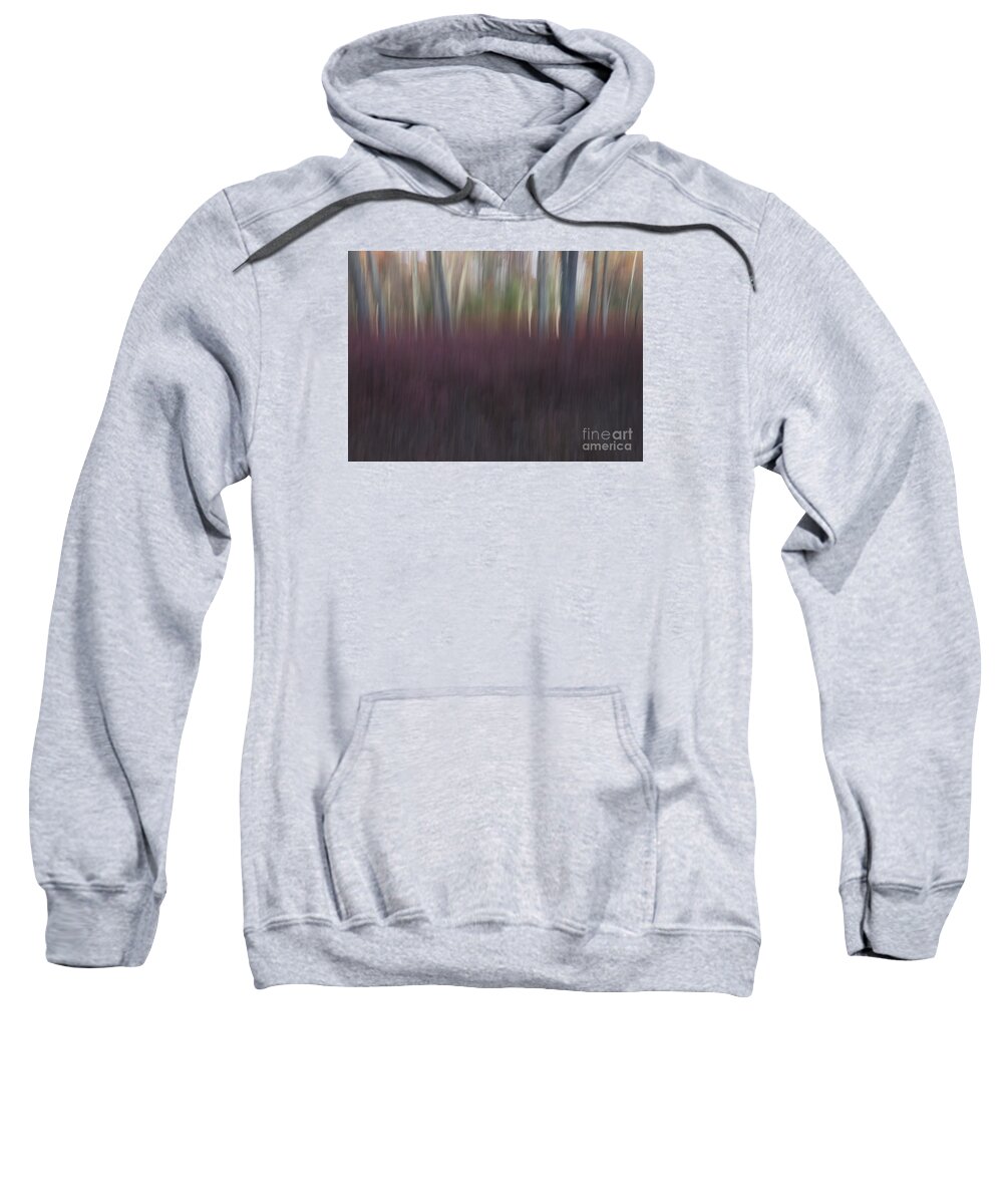 Abstract Sweatshirt featuring the photograph Beyond the Red Field by Lili Feinstein