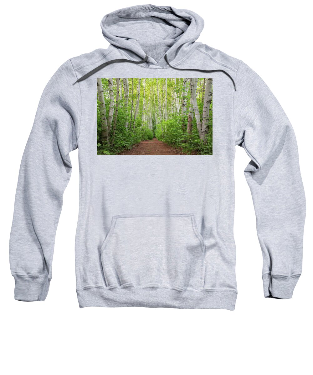 Birch Sweatshirt featuring the photograph Birch Path Spring #3 by White Mountain Images