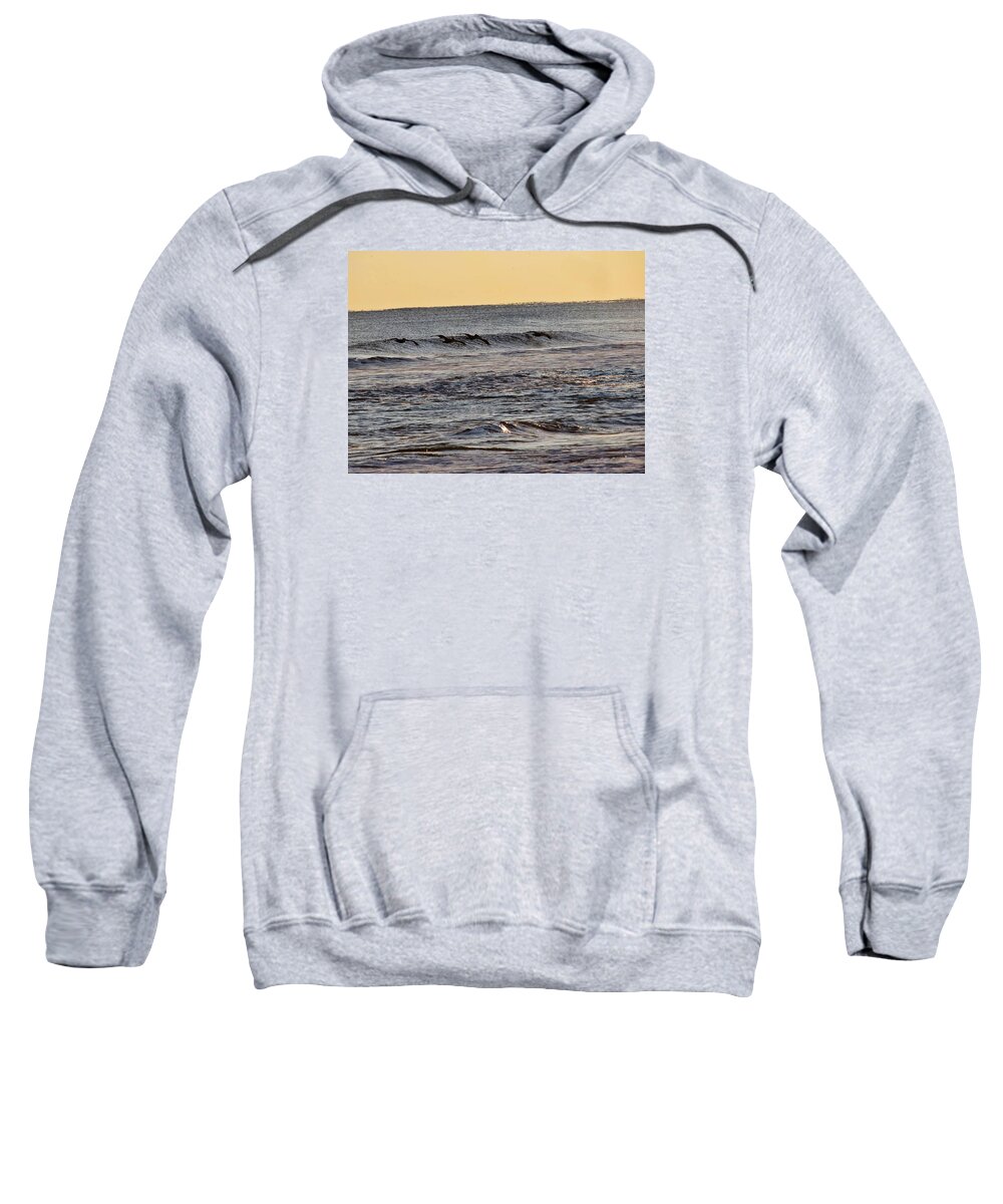 Birds Sweatshirt featuring the photograph Birds at Sea by Laura Henry