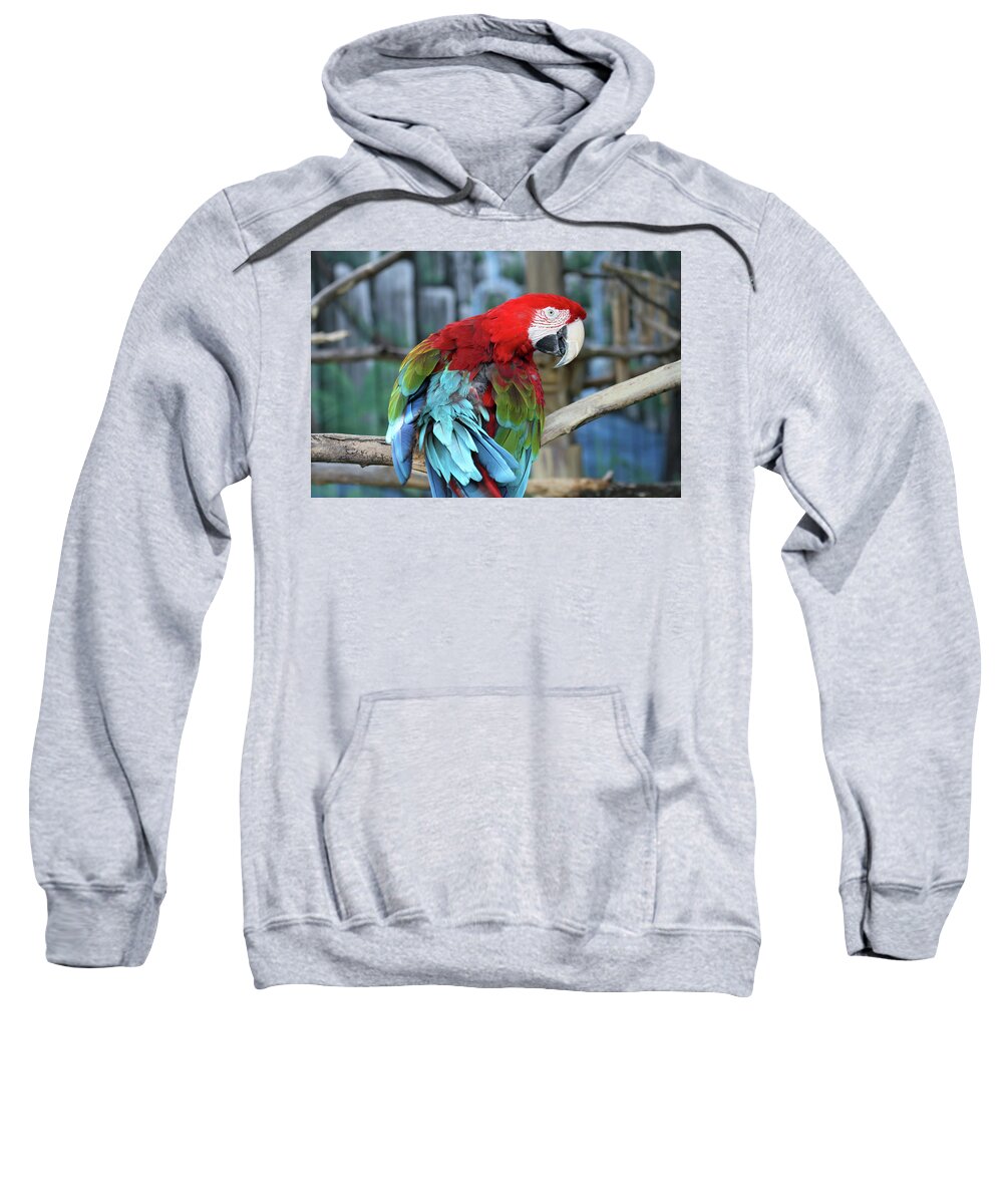 Parrot Sweatshirt featuring the photograph Birds of a Feather by Jackson Pearson