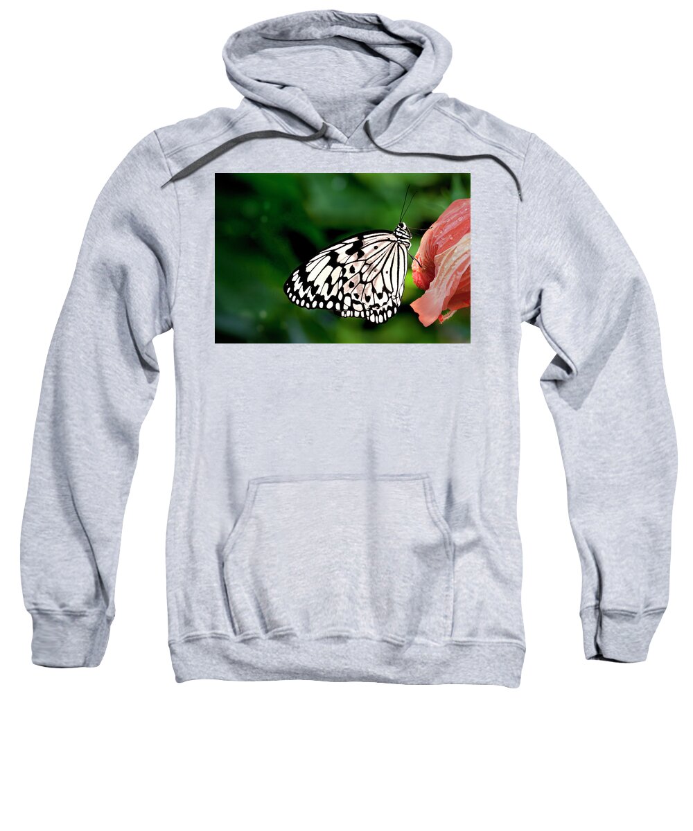 Animalia Sweatshirt featuring the photograph Black and White Butterfly by C VandenBerg
