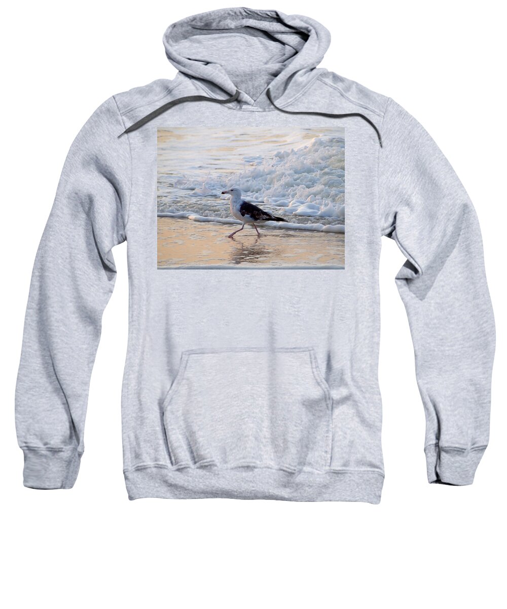 Gull Sweatshirt featuring the photograph Black-backed Gull by Newwwman