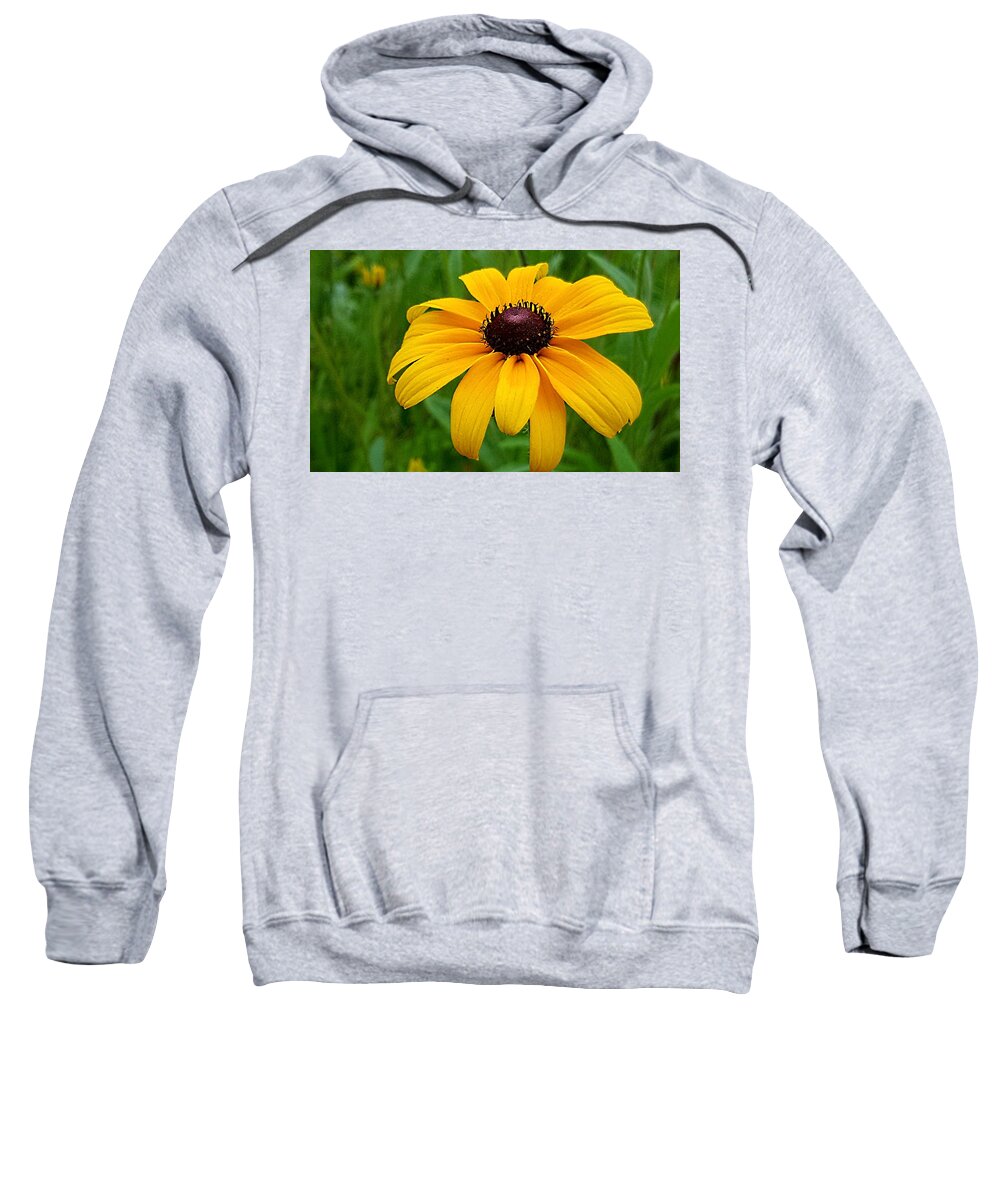 Lupins Sweatshirt featuring the photograph Black Eyed Susan by Michael Graham