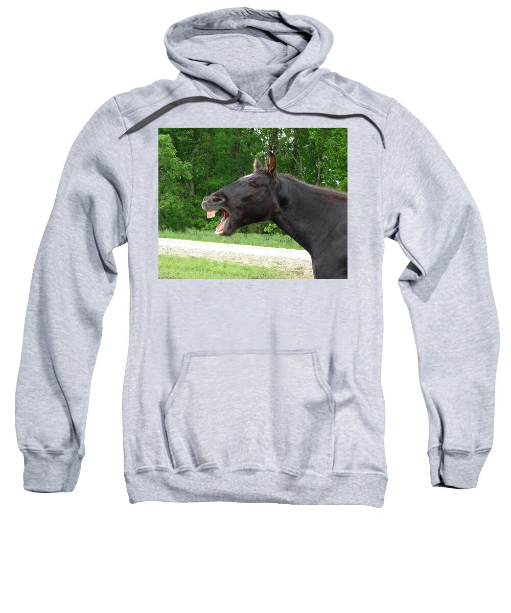 Horses Sweatshirt featuring the digital art Black Horse Laughs by Jana Russon
