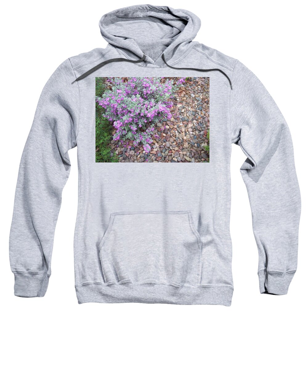 Flowers Sweatshirt featuring the painting Blooms by Mordecai Colodner