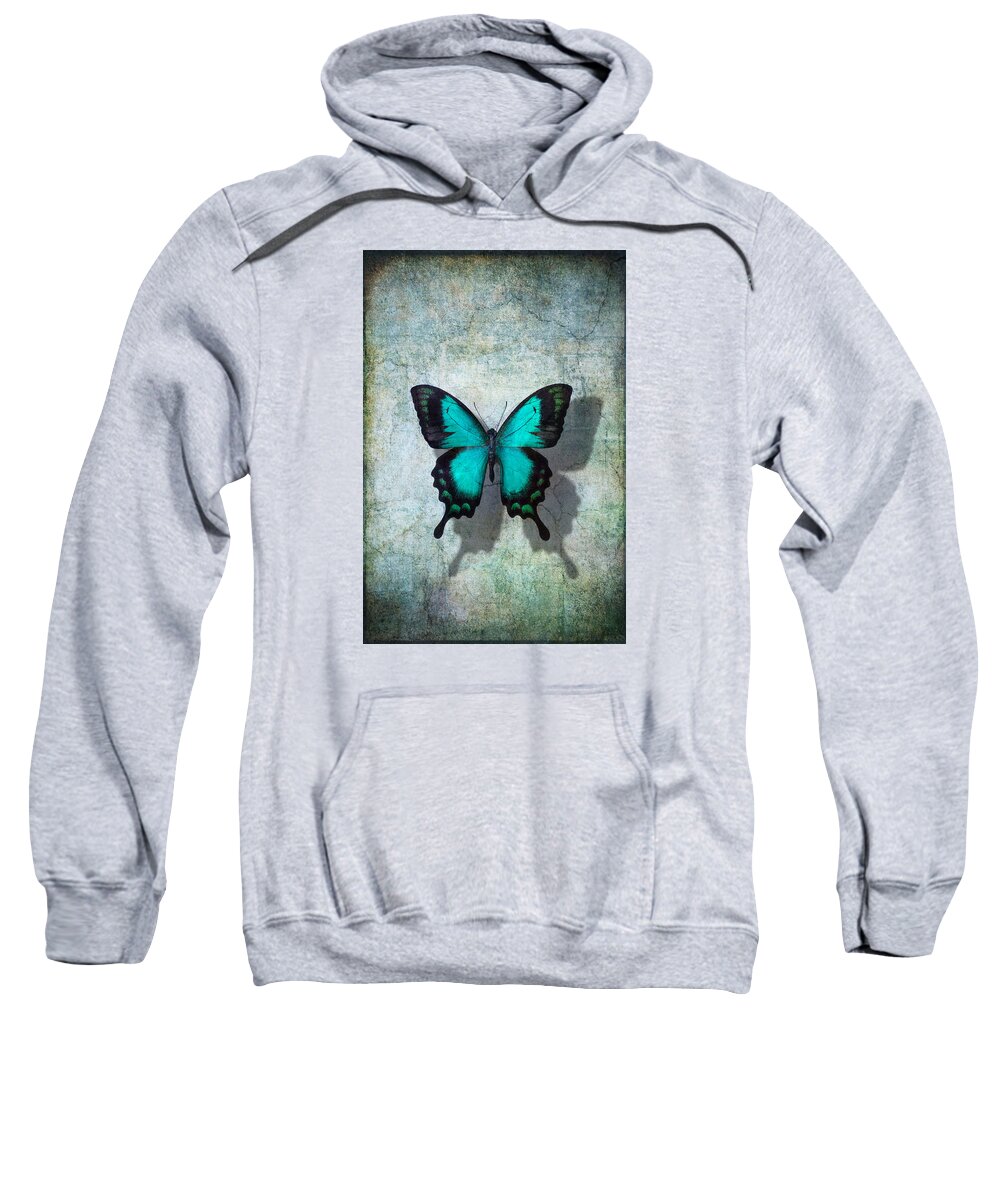 Still Life Sweatshirt featuring the photograph Blue Butterfly Resting by Garry Gay