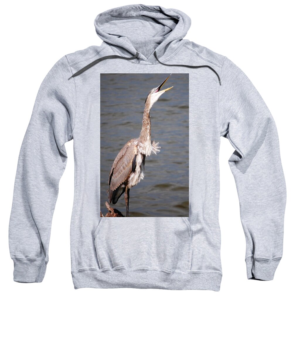 Blue Heron Sweatshirt featuring the photograph Blue Heron Calling by Sumoflam Photography