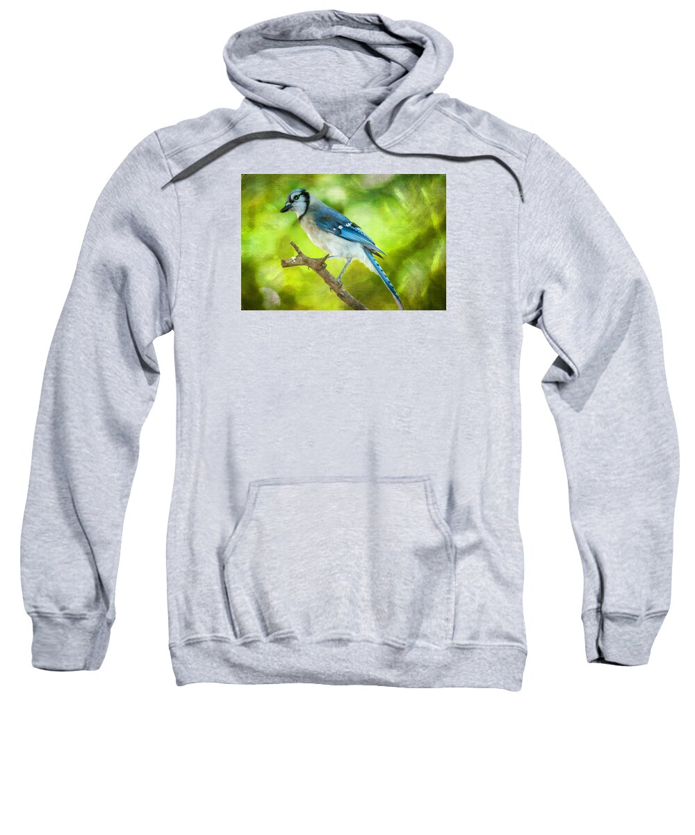Bird Sweatshirt featuring the photograph Blue Jay by Cathy Kovarik