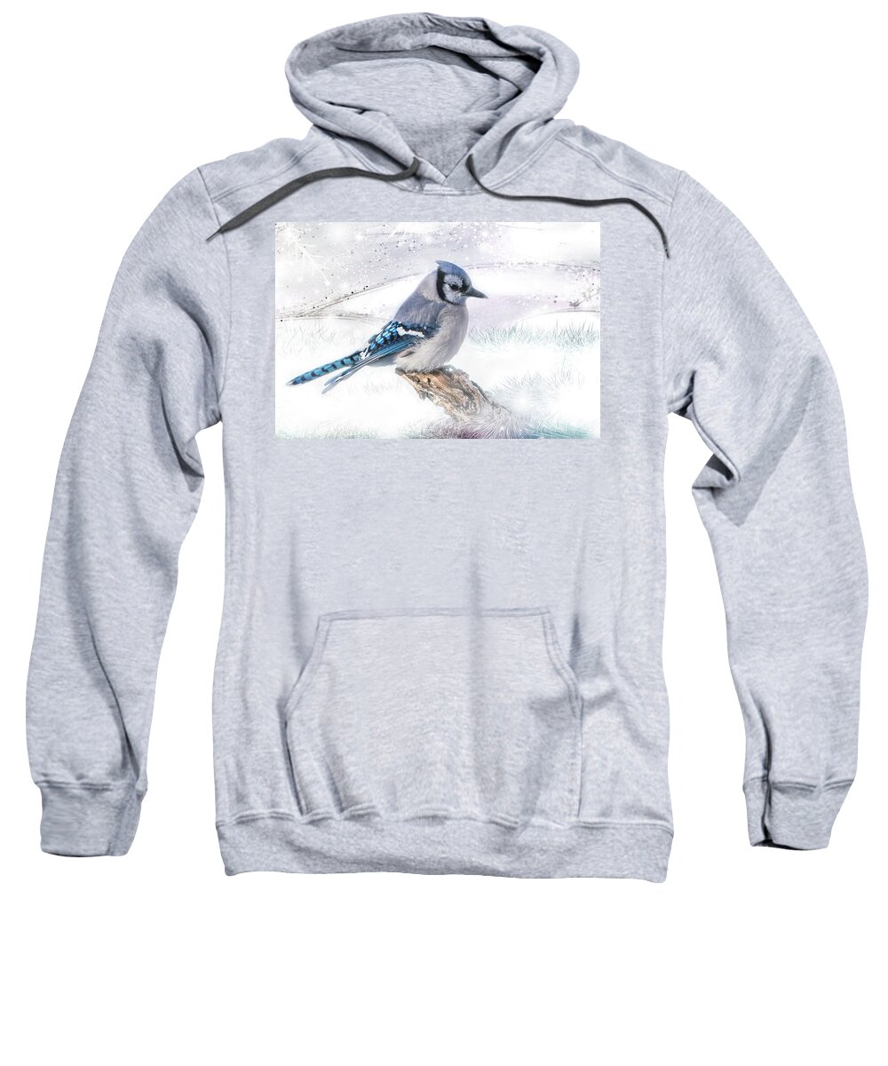 Blue Sweatshirt featuring the photograph Blue Jay Snow by Patti Deters