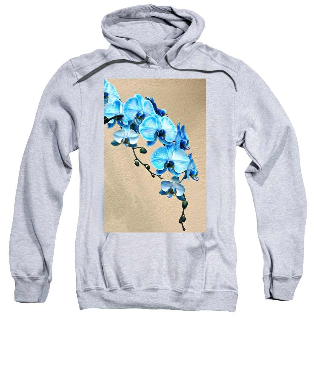 Orchid Sweatshirt featuring the photograph Blue Mystique Orchid by Byron Varvarigos