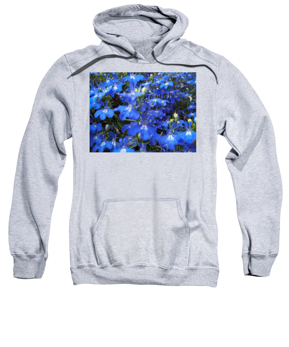 Vibrant Sweatshirt featuring the photograph Bluer than Blue by Stephen King