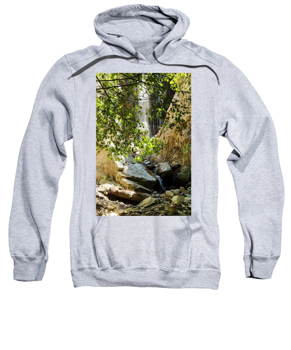 Bonita Falls Through Leaves Sweatshirt featuring the photograph Bonita Falls Through leaves by Viktor Savchenko