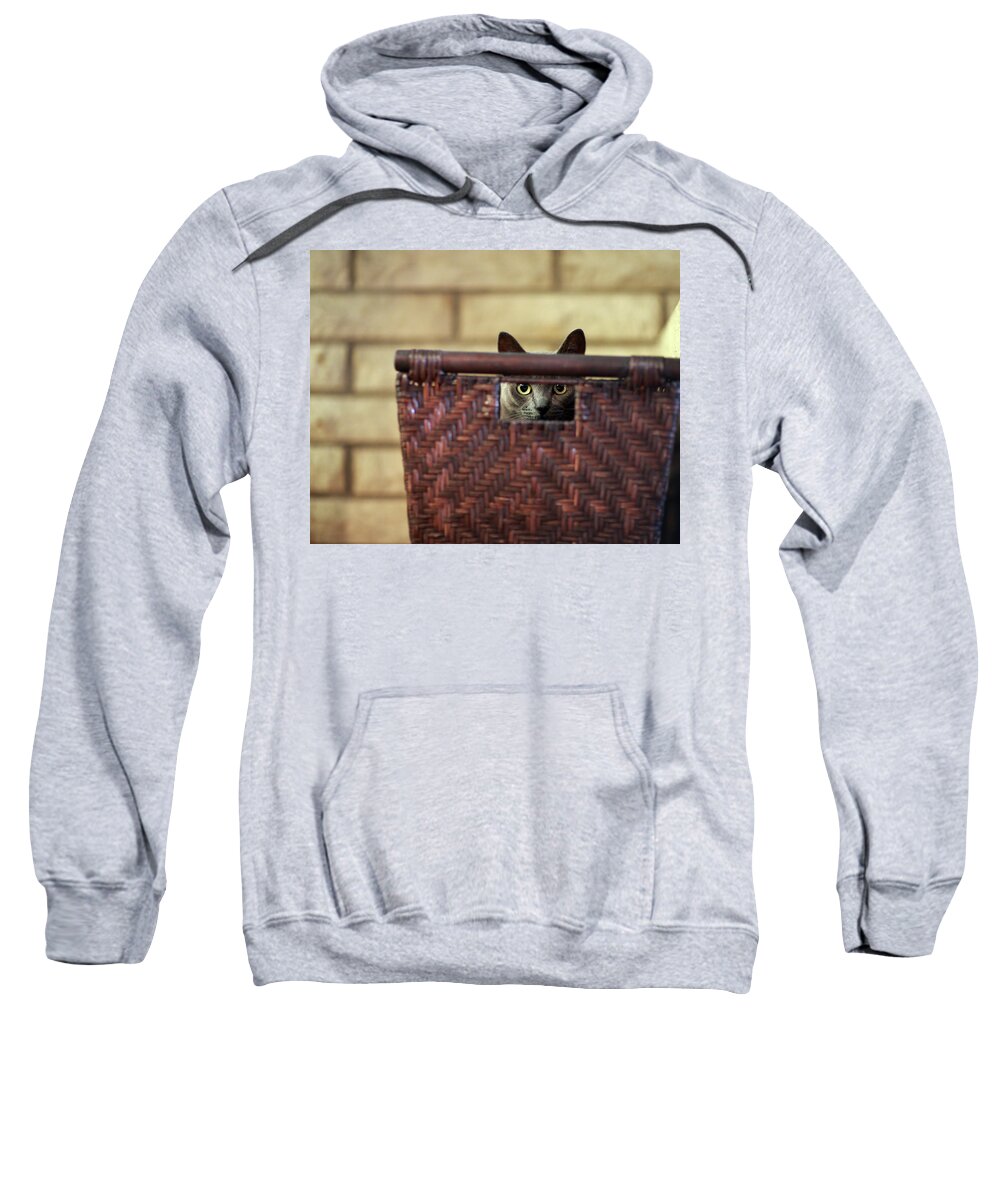 Cat Sweatshirt featuring the photograph Box Kitty by Mike Reid