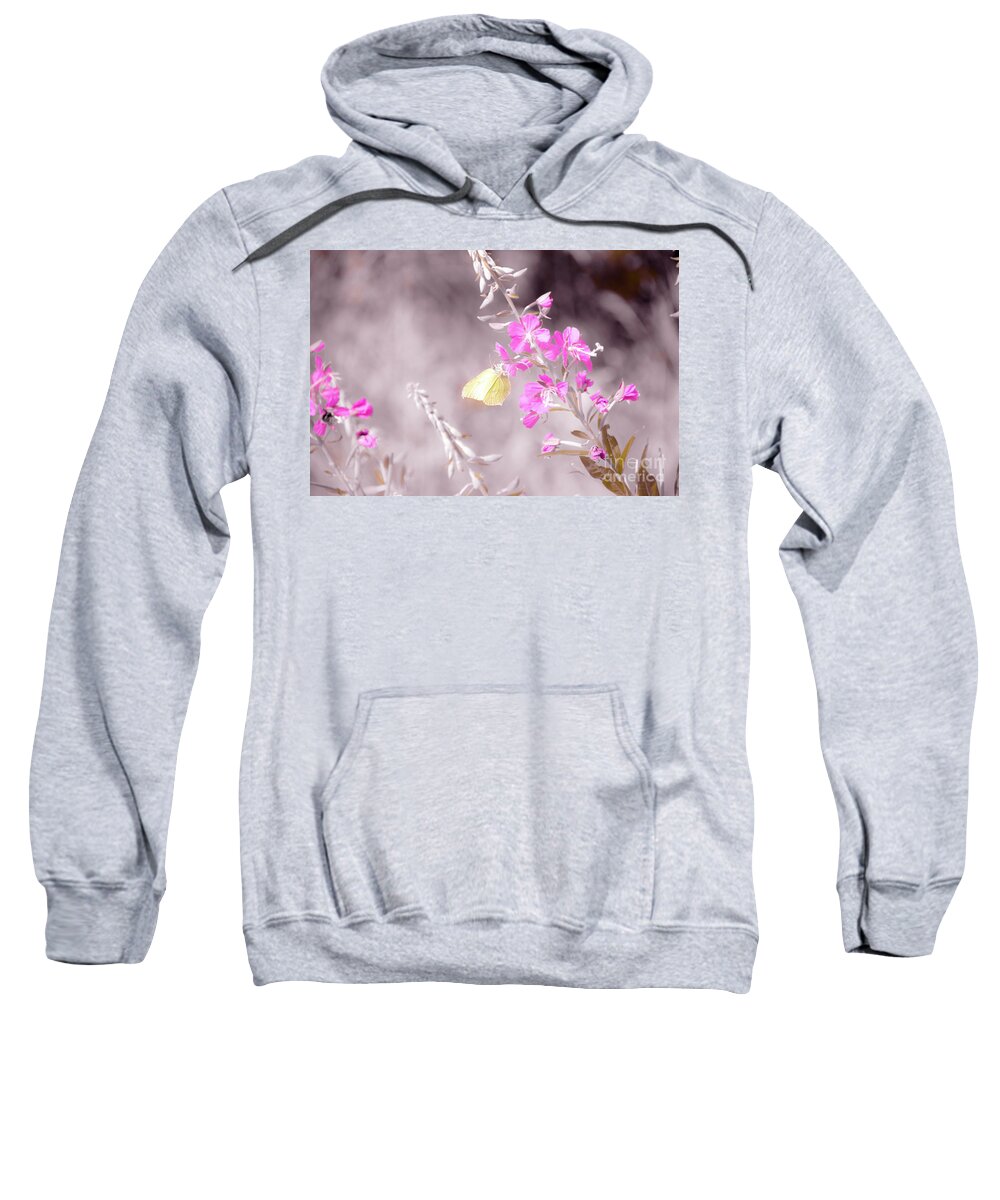 Animal Sweatshirt featuring the photograph Brimstone butterfly by Amanda Mohler