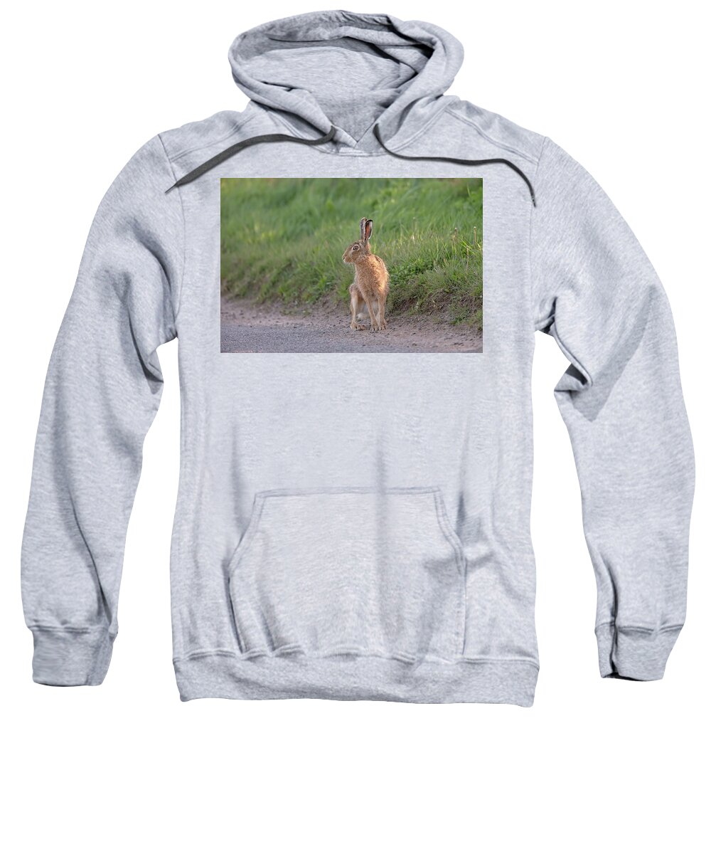 Brown Sweatshirt featuring the photograph Brown Hare Listening by Pete Walkden