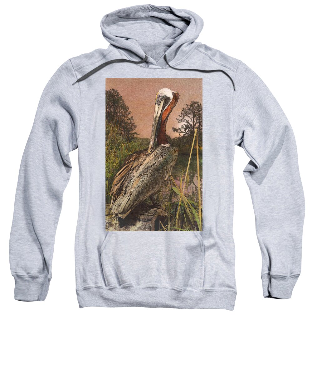 Pelican Sweatshirt featuring the painting Brown Pelican by John Dyess