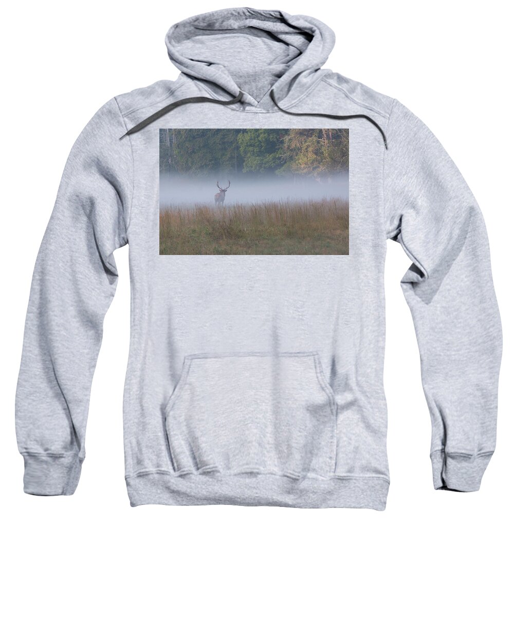 Elk Sweatshirt featuring the photograph Bull Elk Disappearing in Fog - September 30 2016 by D K Wall