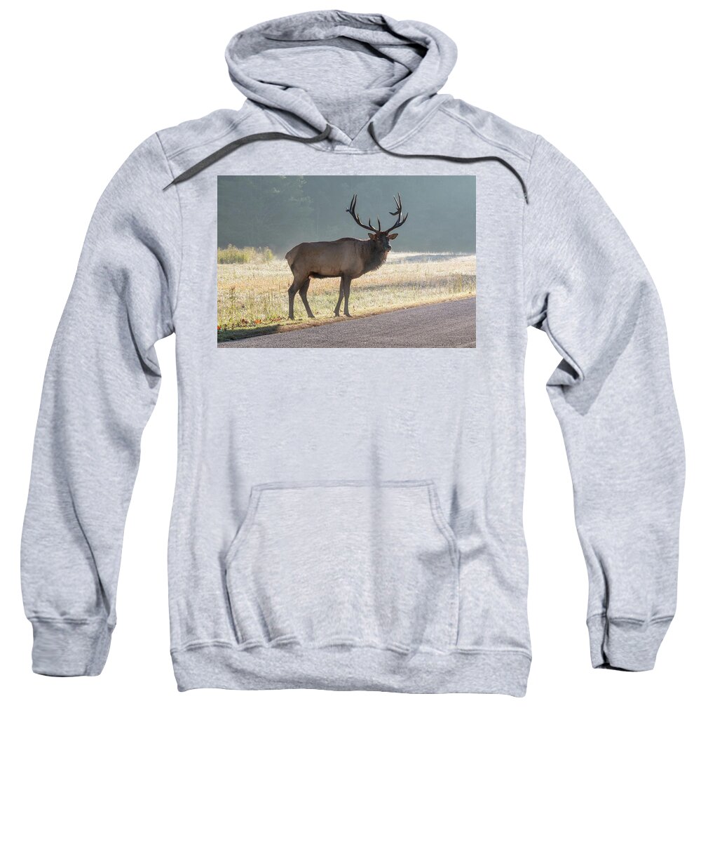 Bull Sweatshirt featuring the photograph Bull Elk Watching by D K Wall