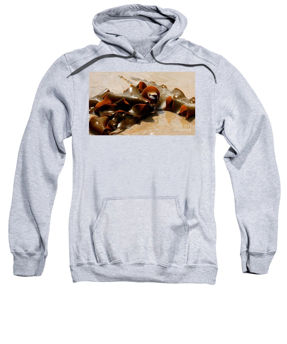 Kelp Sweatshirt featuring the photograph Bull Kelp and Sea Life by Lexa Harpell