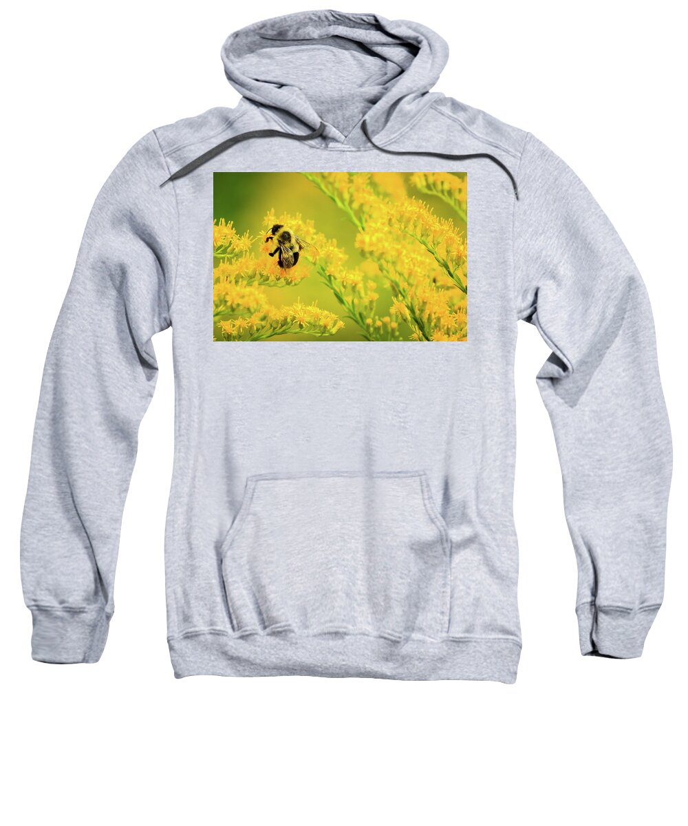 Bee Sweatshirt featuring the photograph Bumble Bee on Goldenrod by Joni Eskridge