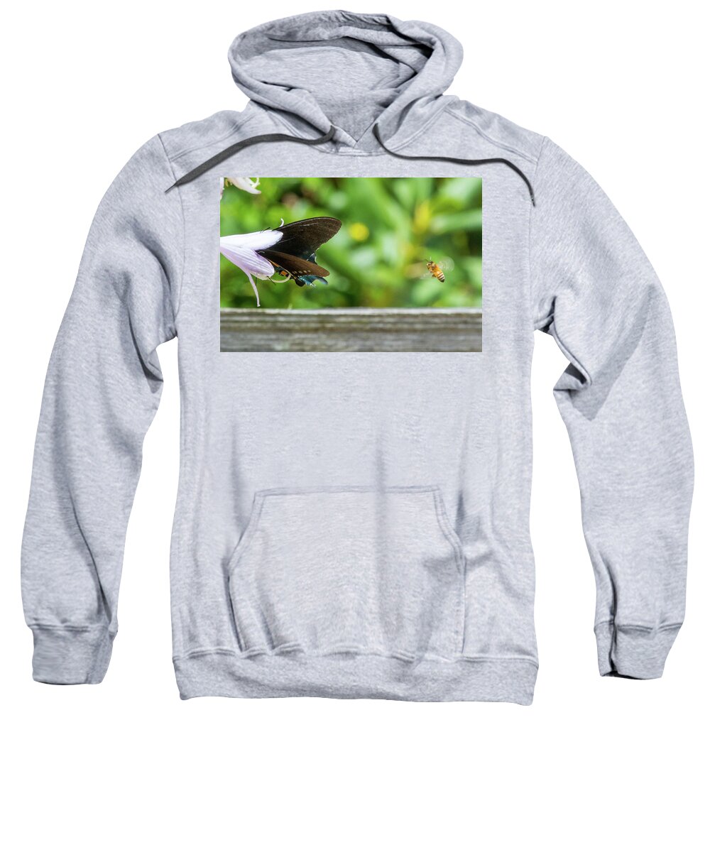 Butterfly Sweatshirt featuring the photograph Butterfly and Bee by D K Wall