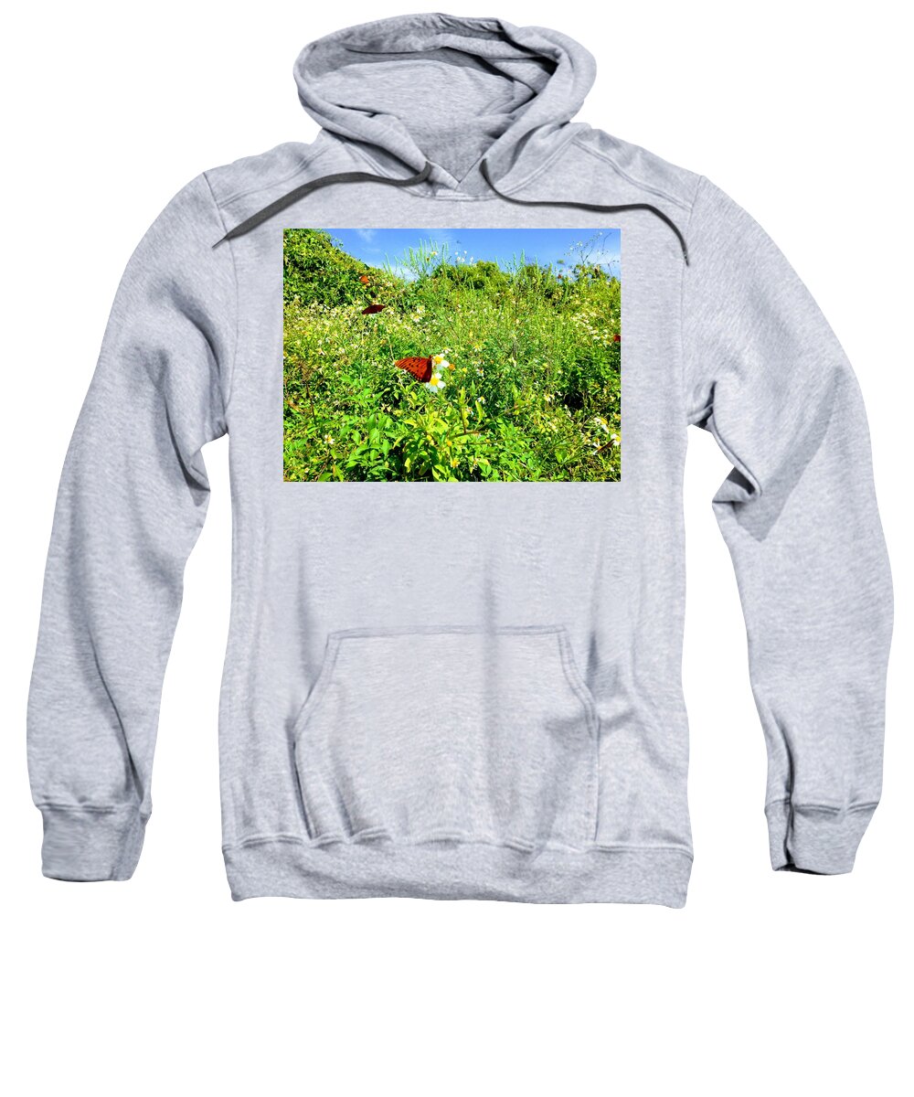 Butterfly Sweatshirt featuring the photograph Butterfly Bonanza by Sherry Kuhlkin