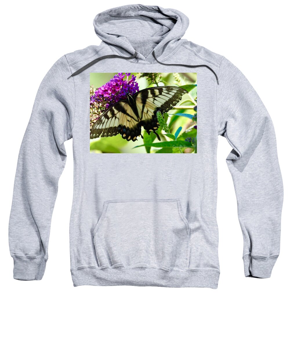 Butterfly Sweatshirt featuring the photograph Butterfly Damage by Shawn M Greener