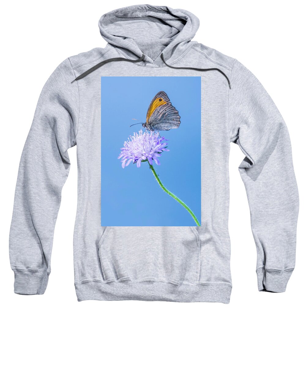 Butterfly Sweatshirt featuring the photograph Butterfly by Jaroslaw Grudzinski