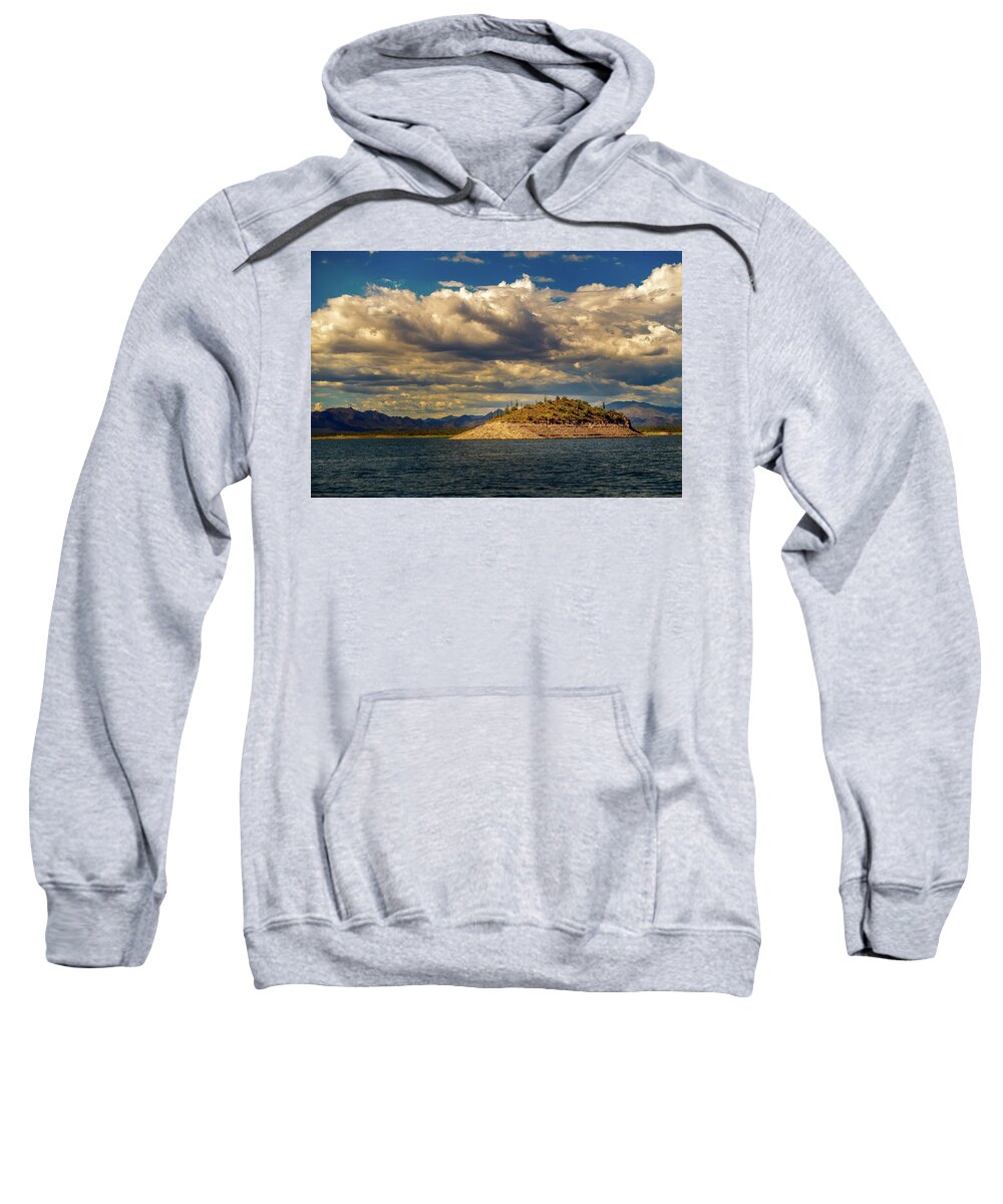 Arizona Sweatshirt featuring the photograph Cactus Island by Robert FERD Frank
