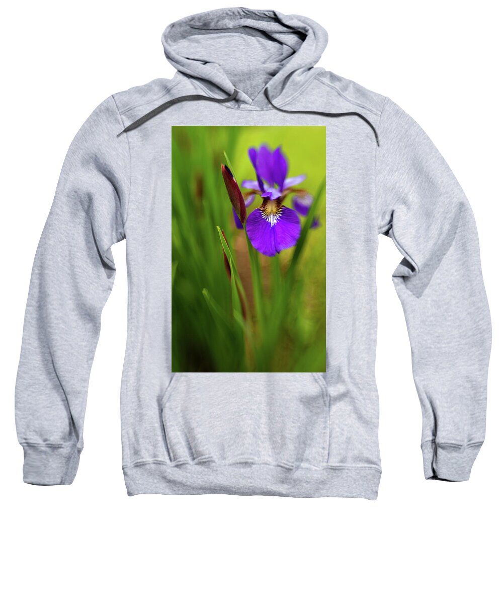 Caesar's Brother Sweatshirt featuring the photograph Caeser's Brother Siberian Iris by Pamela Taylor