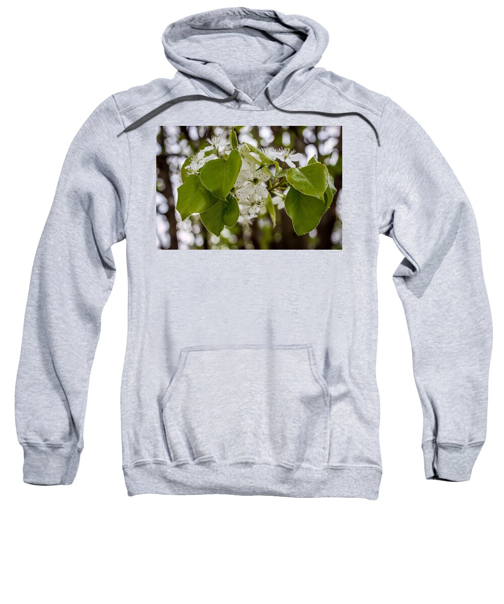 Callery Sweatshirt featuring the photograph Callery Pear Tree Bloom by Susie Weaver