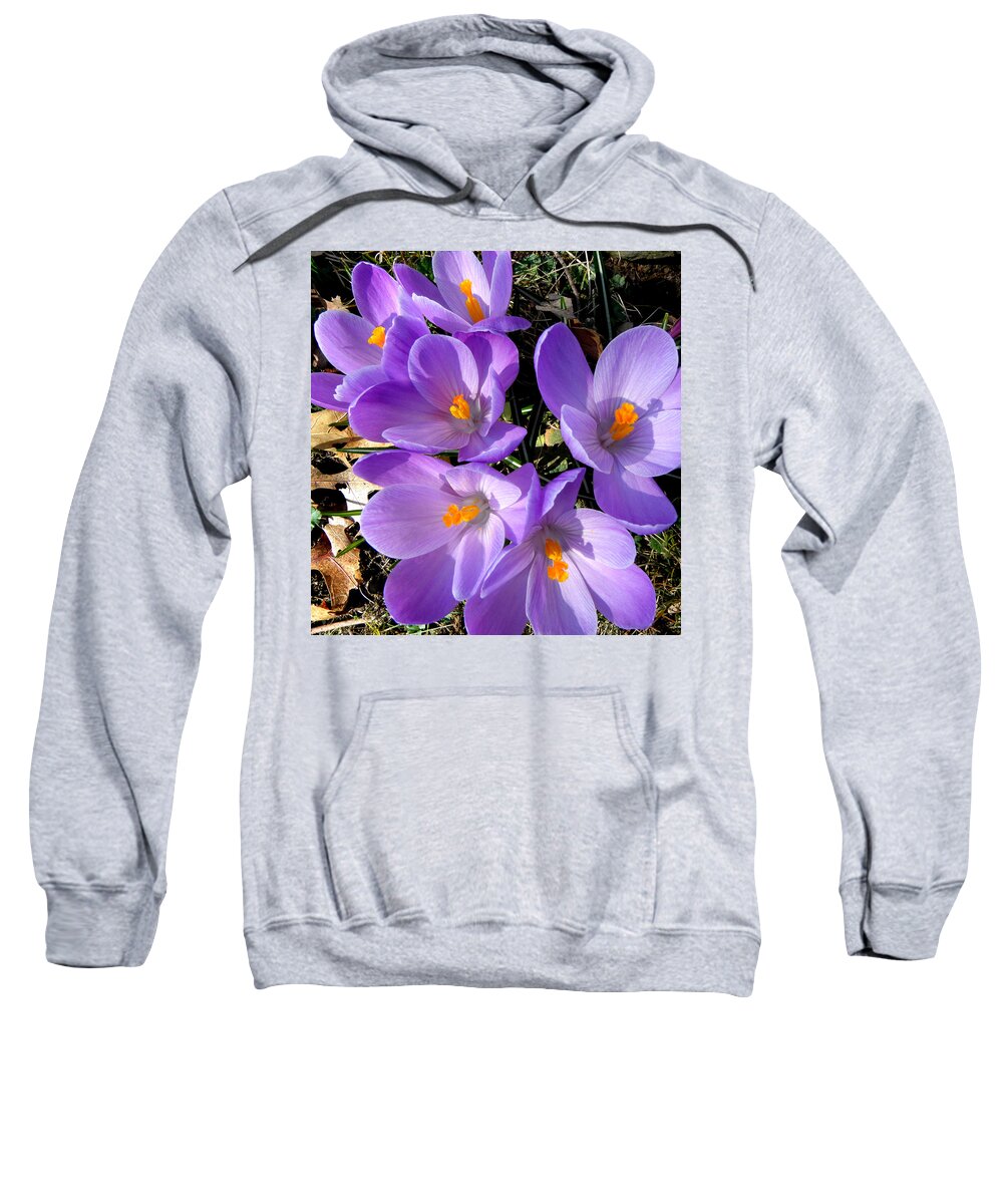 Spring Sweatshirt featuring the photograph Can you say PURPLE by Kim Galluzzo