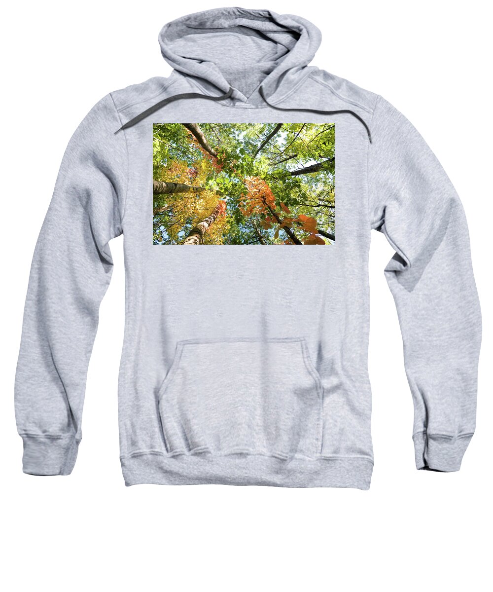 Canada Sweatshirt featuring the photograph Canadian Foliage by Nick Mares