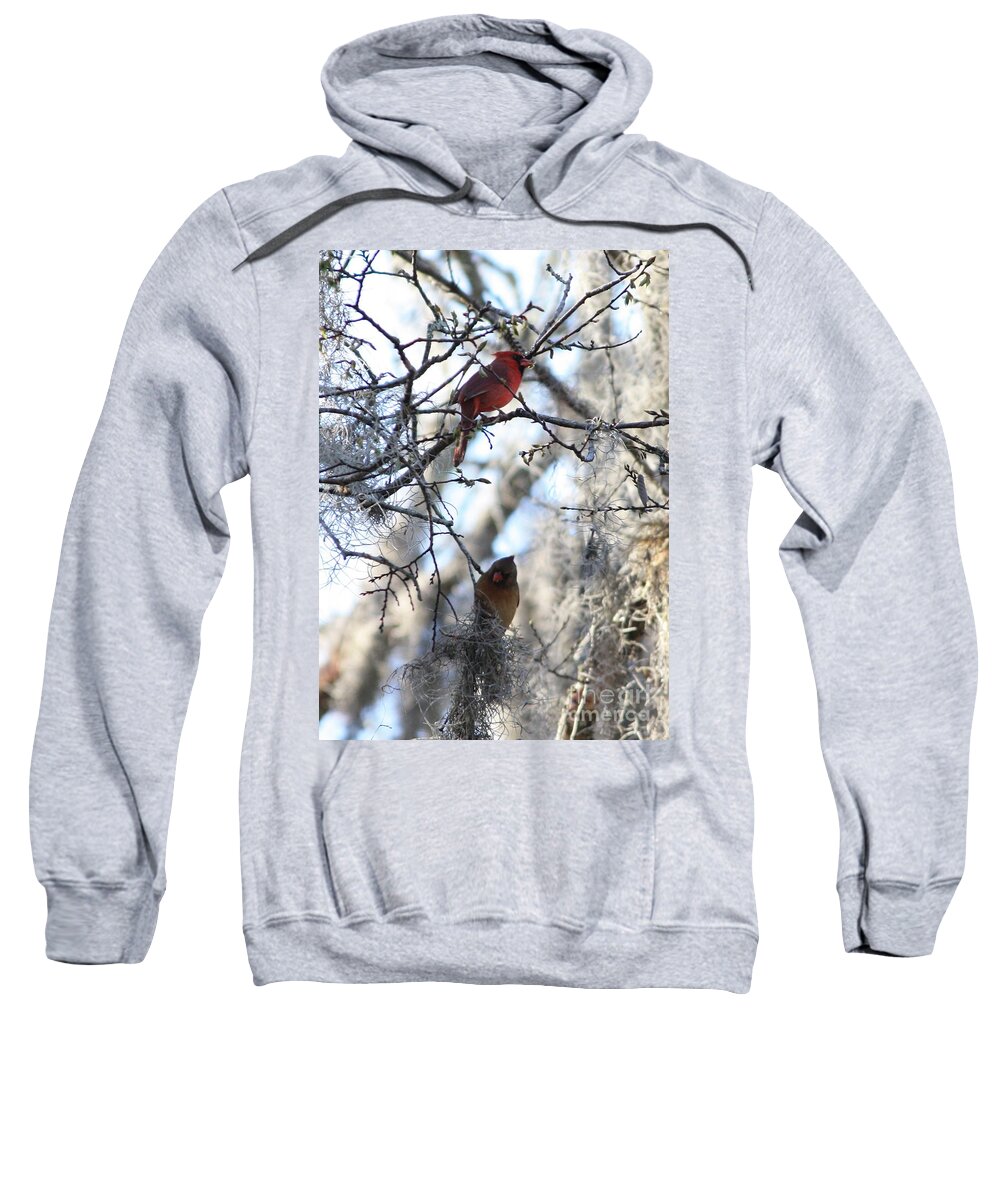 Wildlife Sweatshirt featuring the photograph Cardinals in Mossy Tree by Carol Groenen