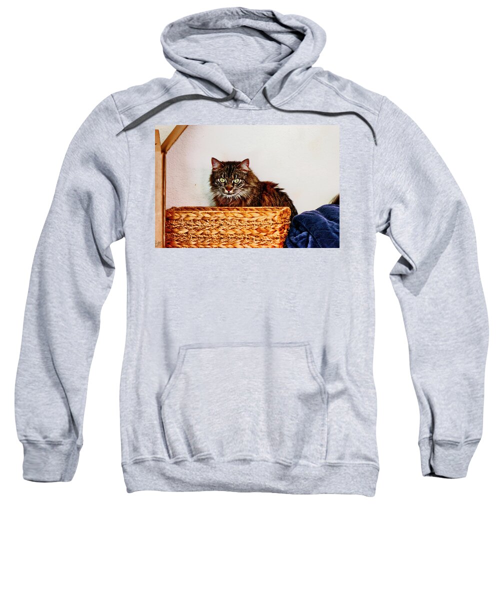 Cat Sweatshirt featuring the photograph Cat Behind a Basket by Gina O'Brien