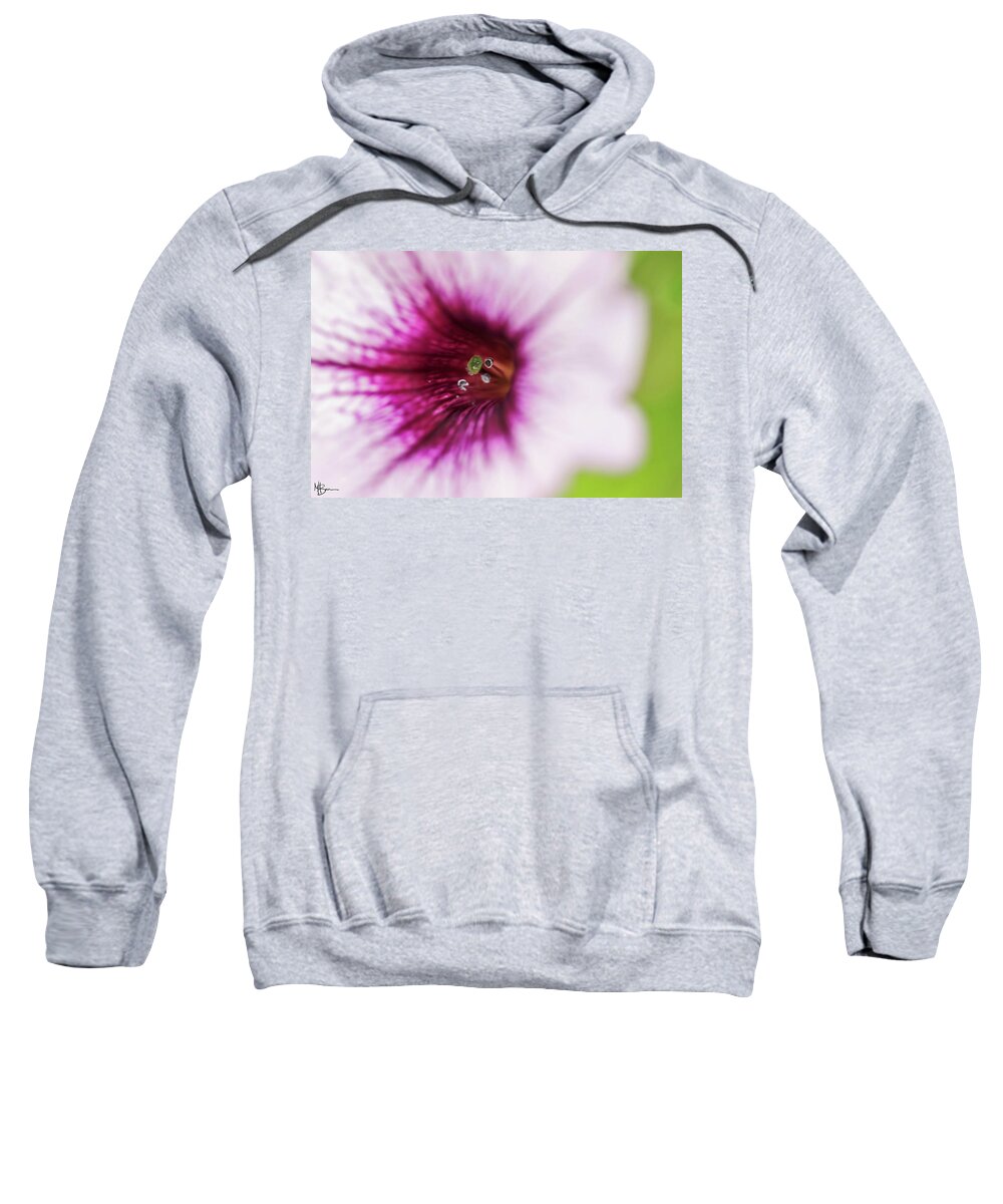 Pink Sweatshirt featuring the photograph Center Focus II by Mary Anne Delgado