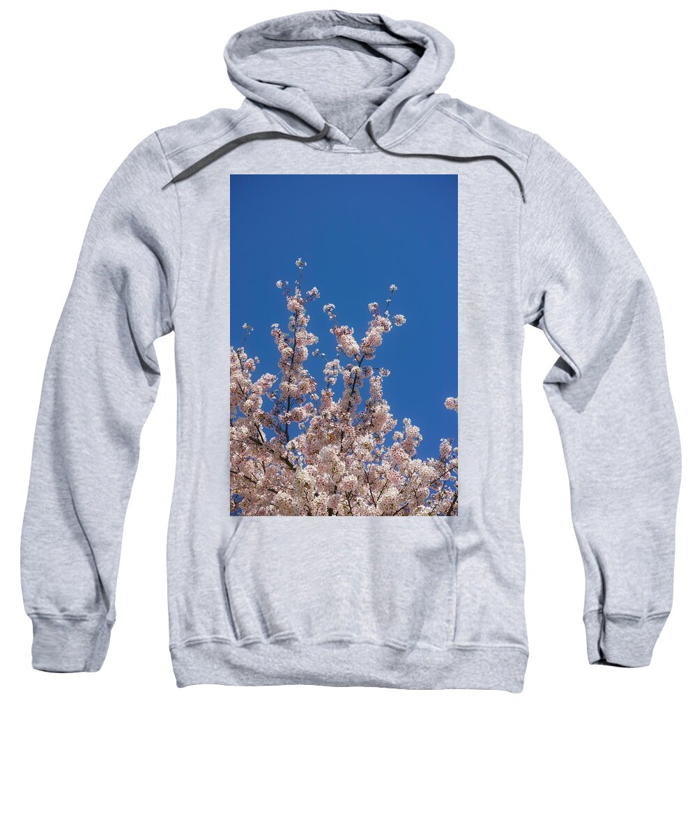Cherryblossoms Sweatshirt featuring the photograph Cherry blossoms#8 by Yasuhiro Fukui