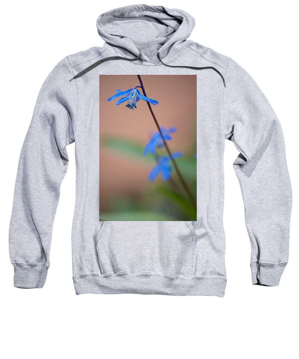 April Sweatshirt featuring the photograph Chionodoxa by Andreas Freund