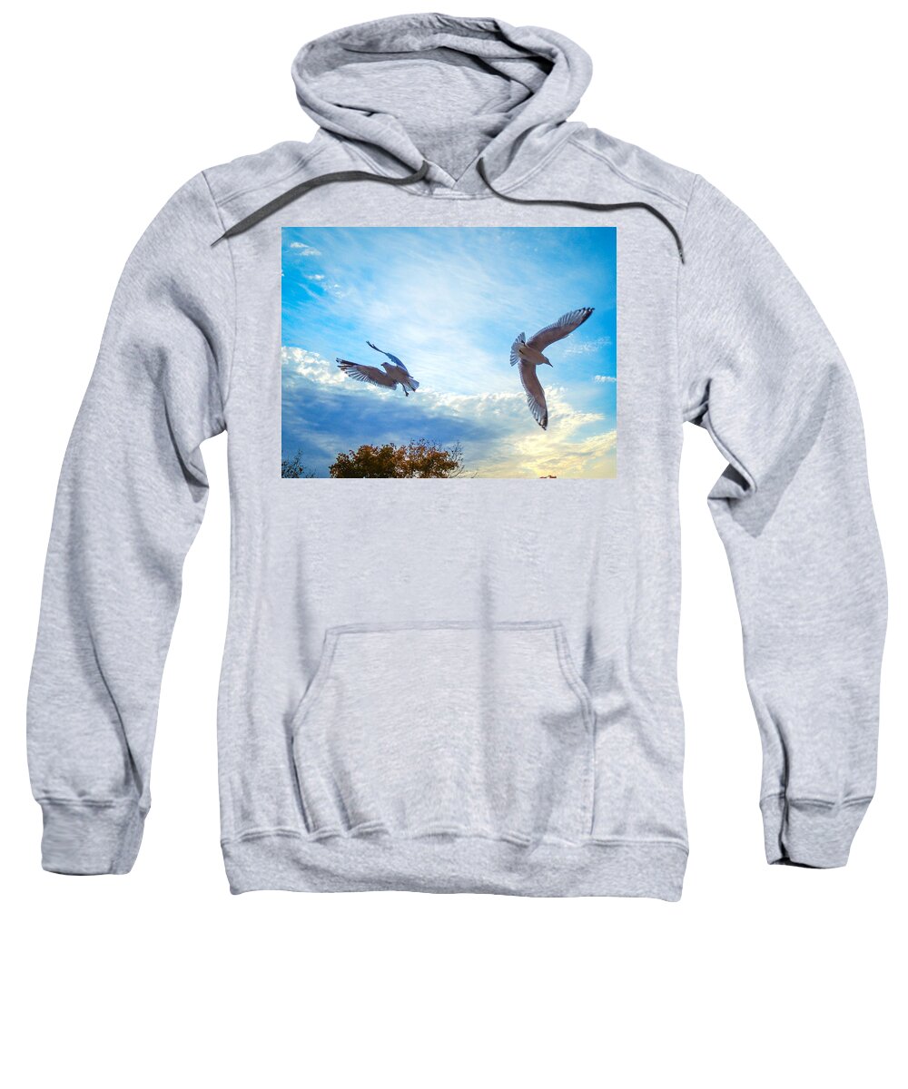 Landscapes Sweatshirt featuring the photograph Circling Wings by Glenn Feron