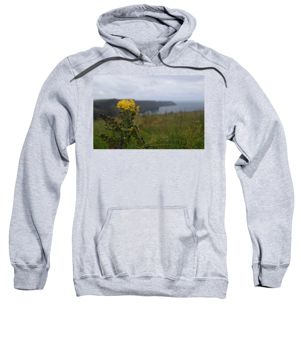 Ireland Sweatshirt featuring the photograph Cliffs of Moher Wildflowers by Curtis Krusie