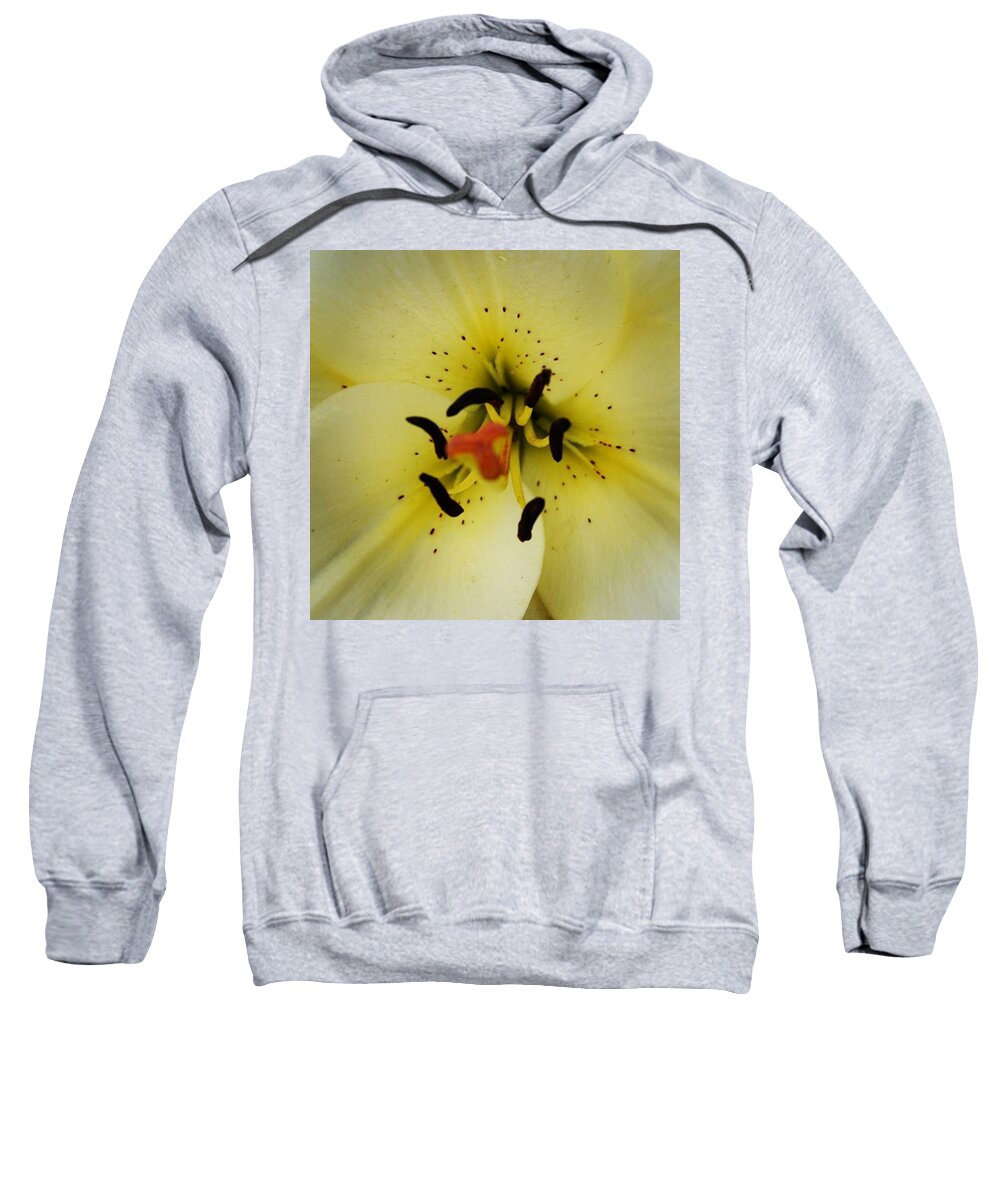 Wildlifephotography Sweatshirt featuring the photograph Close Up Lilly If You Want To See Some by Richard Atkin