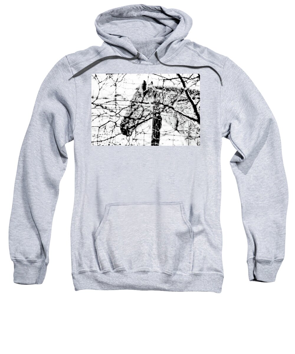 Texas Sweatshirt featuring the photograph Cold Horse by Erich Grant