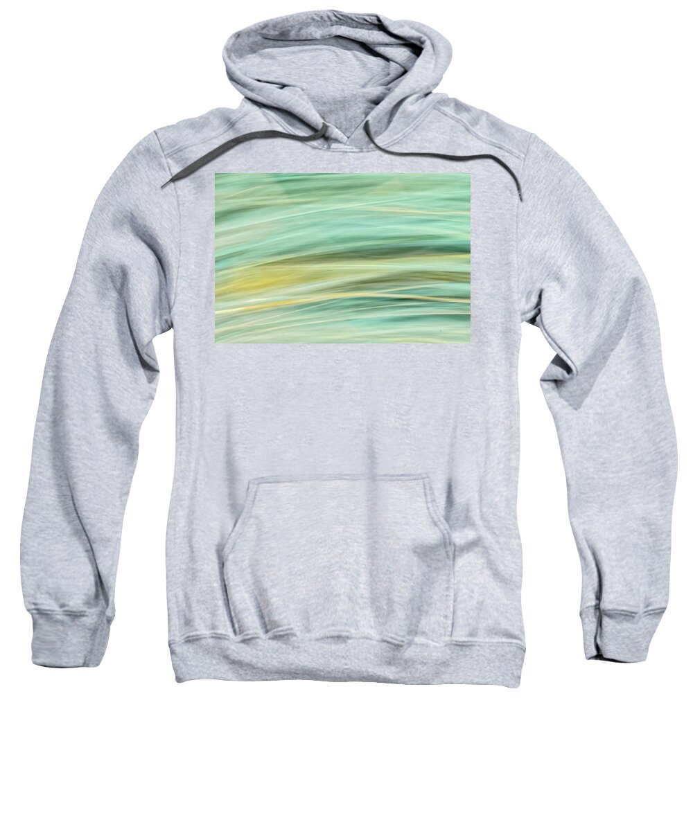 Clematis Vine Sweatshirt featuring the photograph Color Swipe by Tom Singleton